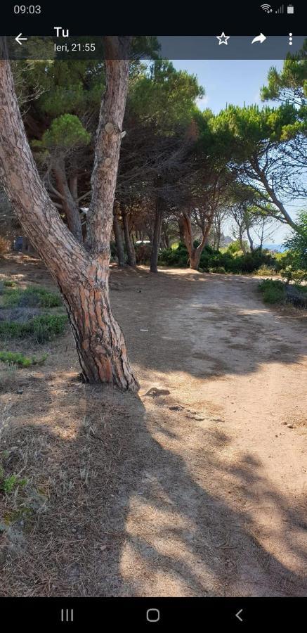 Vacanze In Natura Incontaminata "Casa Vacanza Francesca" Isola Rossa Kültér fotó