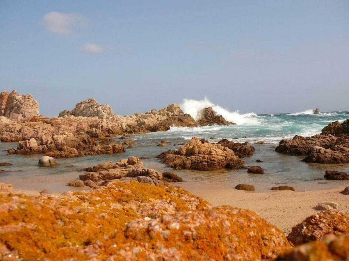 Vacanze In Natura Incontaminata "Casa Vacanza Francesca" Isola Rossa Kültér fotó